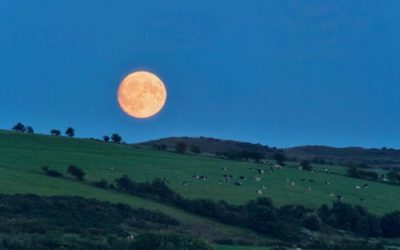 Il suono del silenzio